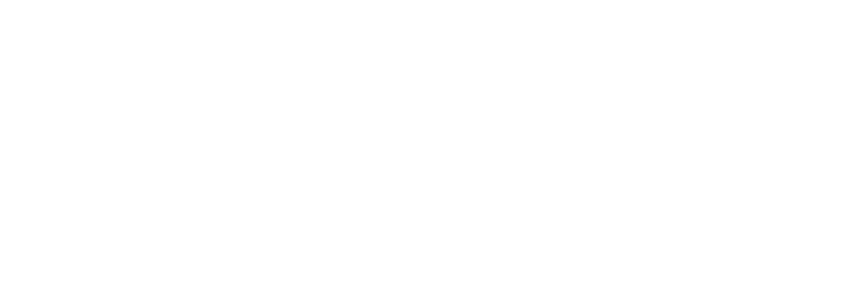 Flor Elena Robledo